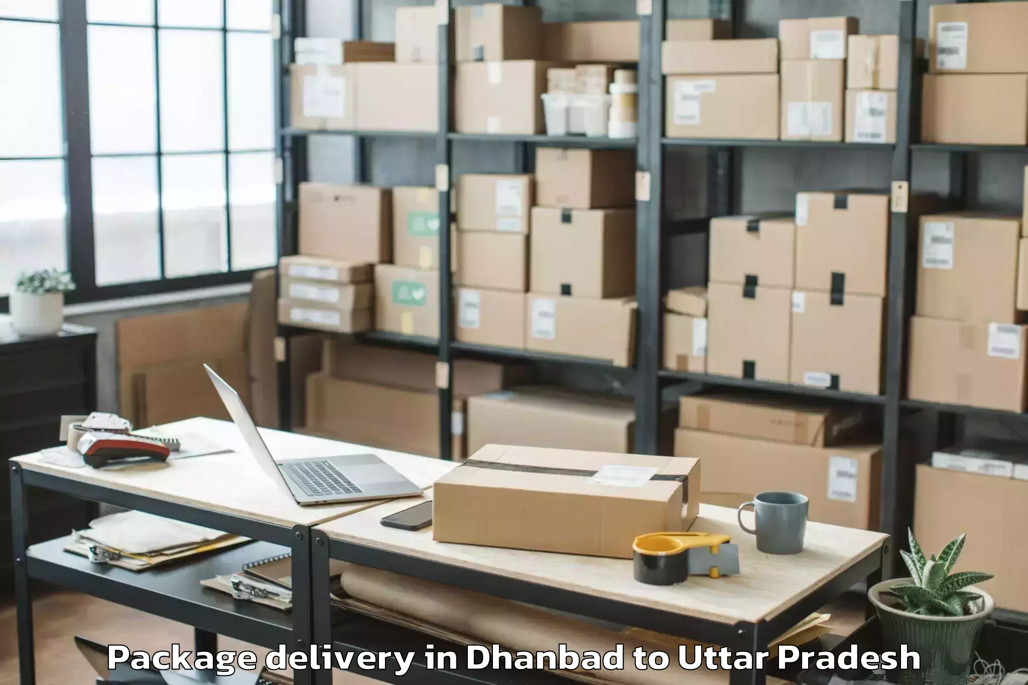 Book Dhanbad to Raura Package Delivery Online